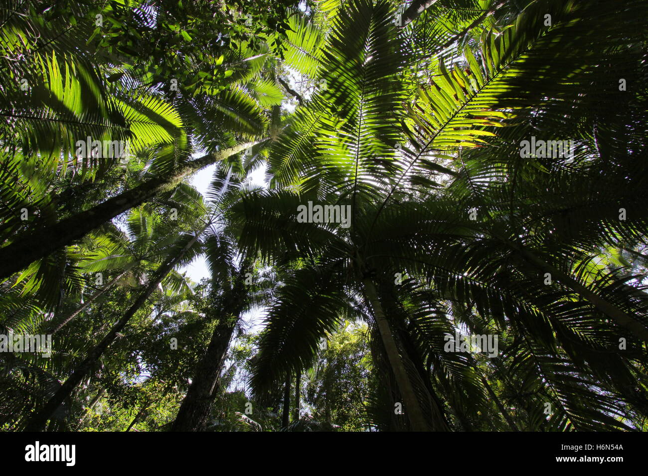 under armour flip flops mens
