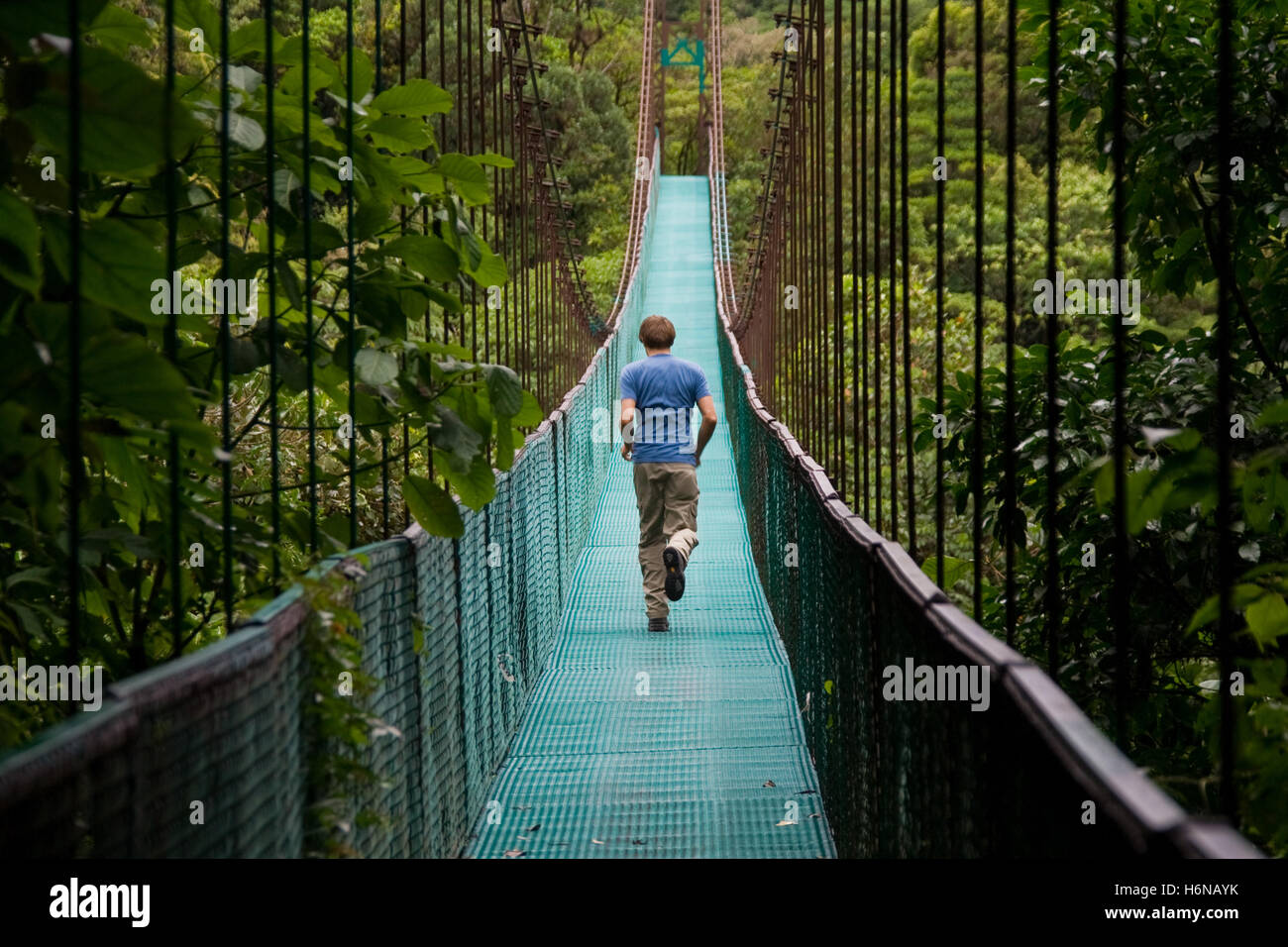 Rope bridges hires stock photography and images Alamy