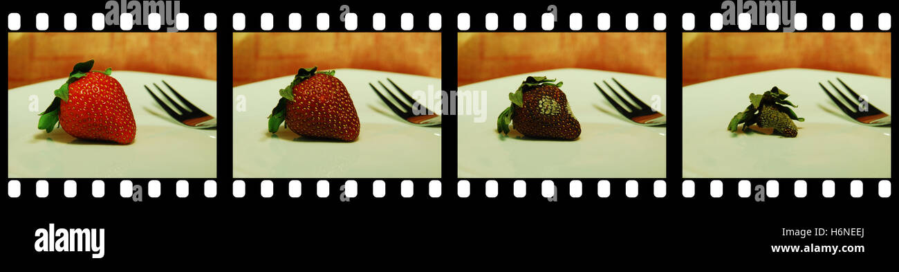 photo montages Stock Photo