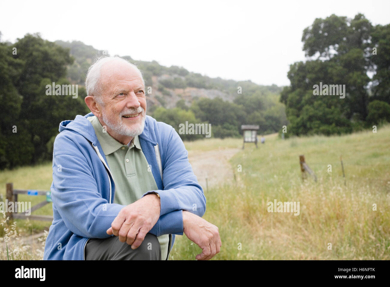 Smiling treetrunk hi-res stock photography and images - Alamy