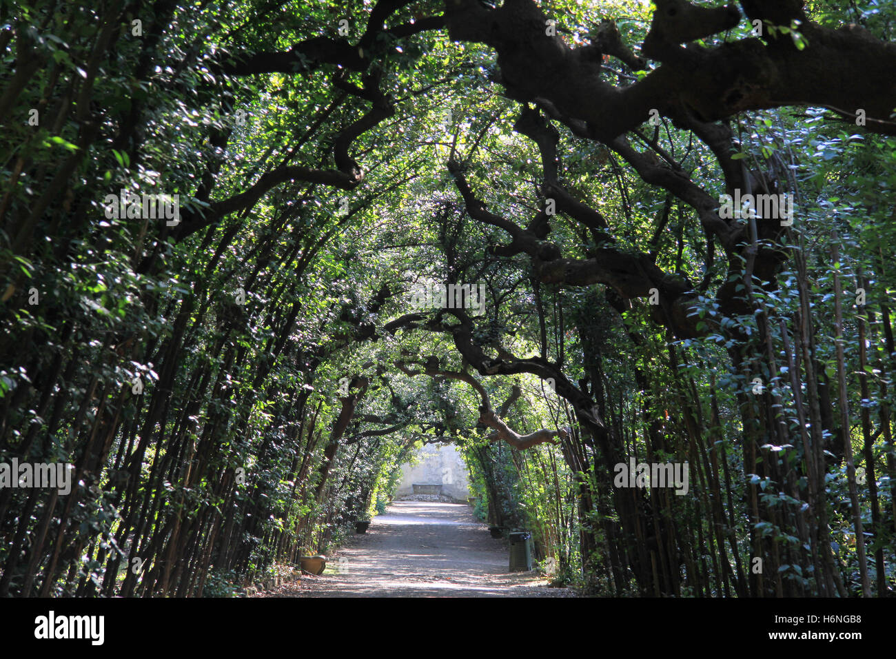 portico in the boboli gardens in flore Stock Photo