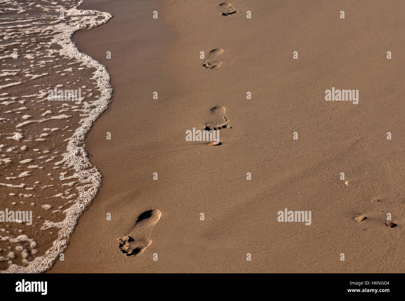 footprints in the sand ...... Stock Photo