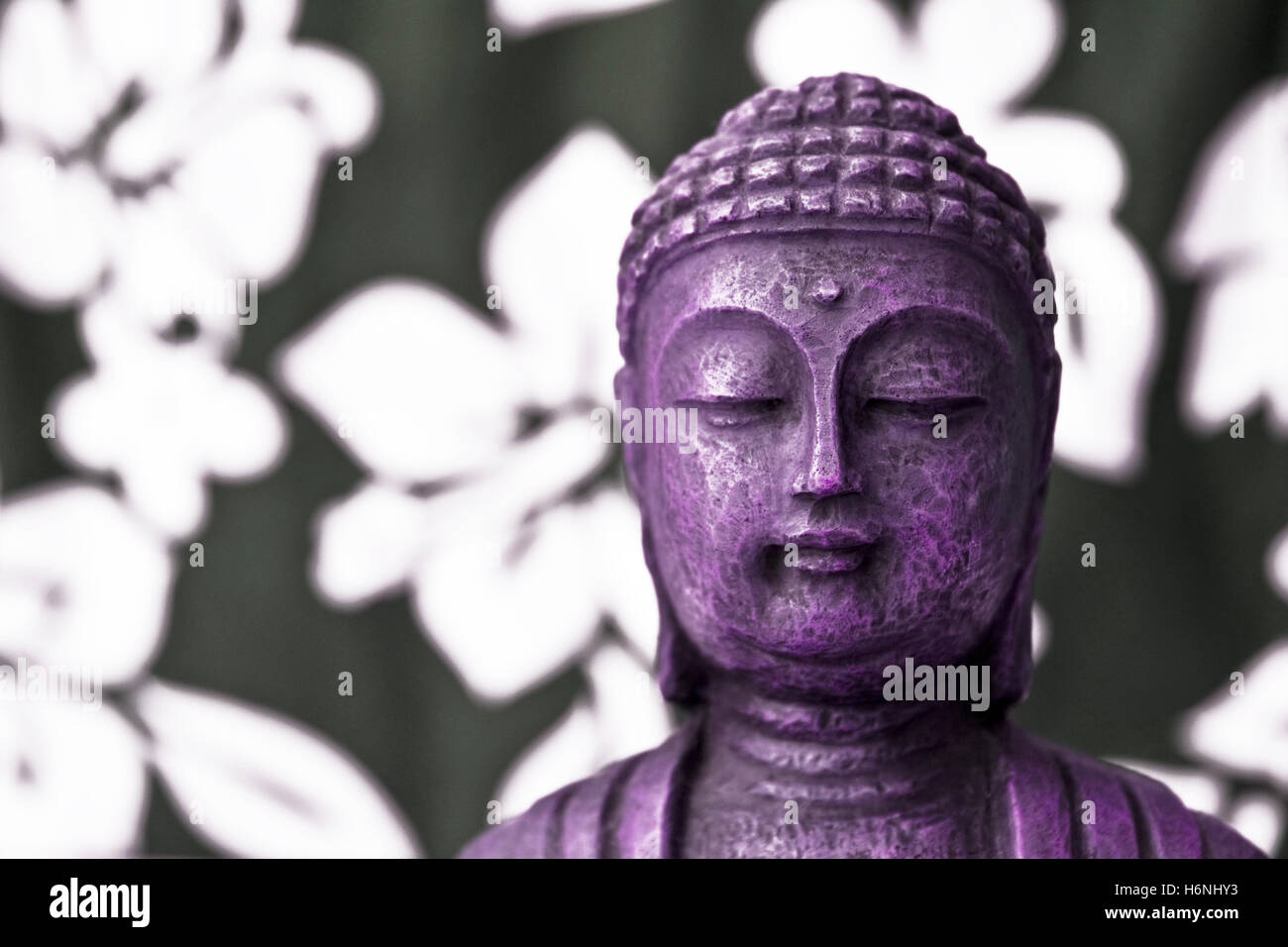 buddha flower purple Stock Photo Alamy