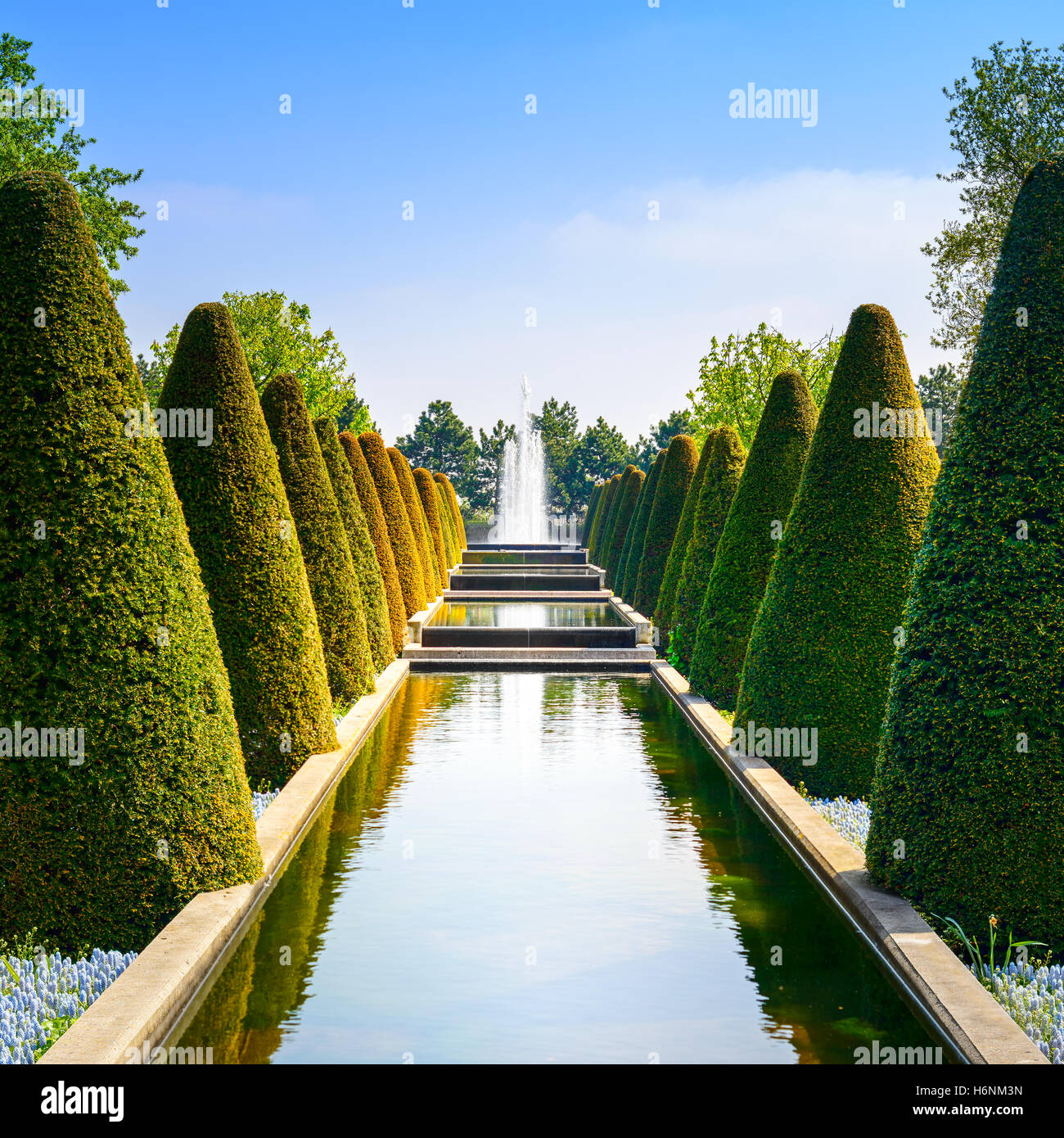Garden in Keukenhof, conical hedges lines, water pool and fountain. Netherlands, Europe. Stock Photo