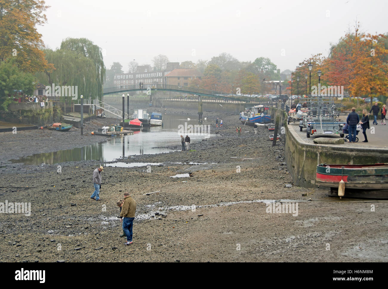 the river thames at twickenham during the annual draw off, when the