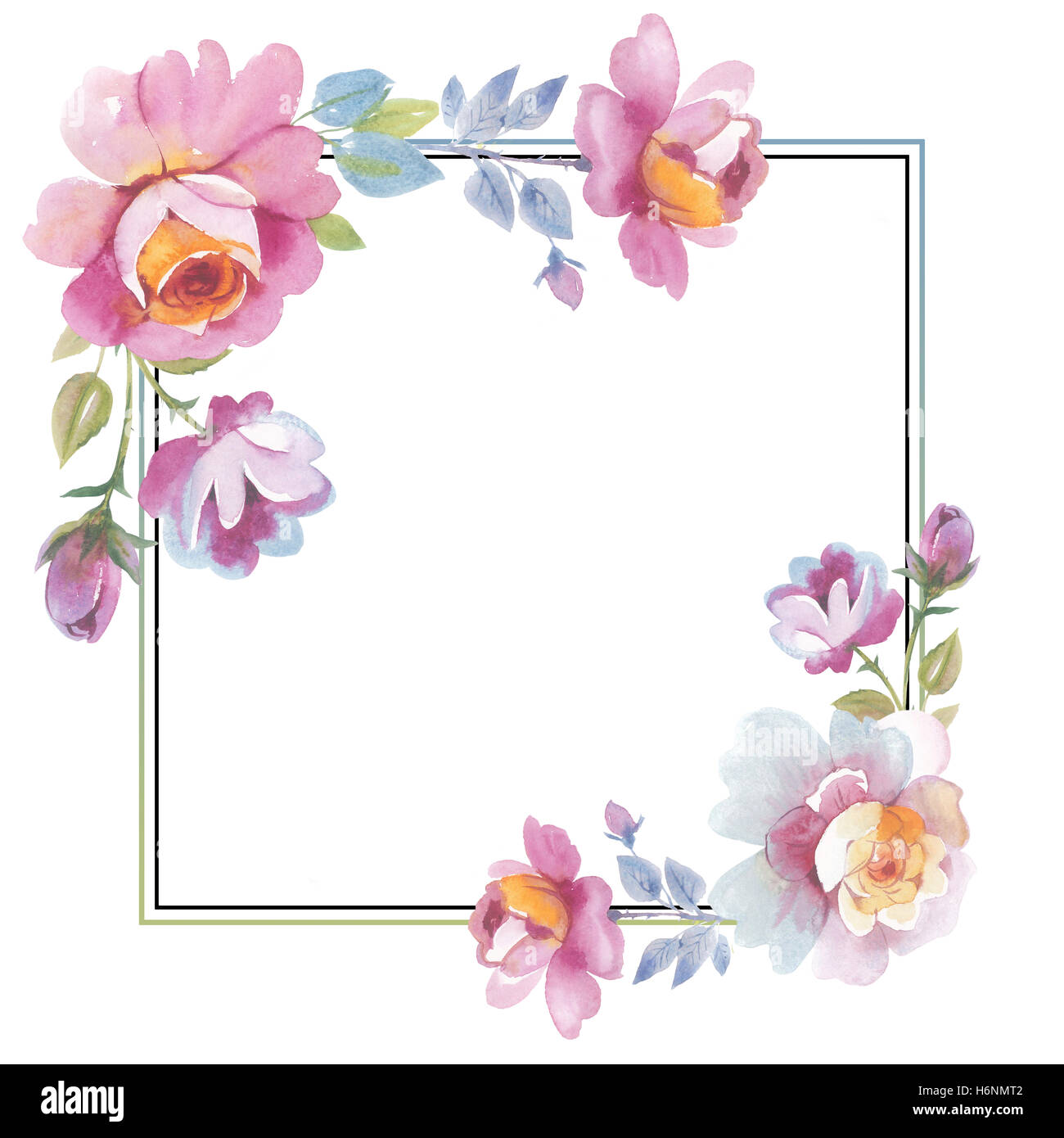 Wildflower rose flower frame in a watercolor style isolated Stock Photo ...