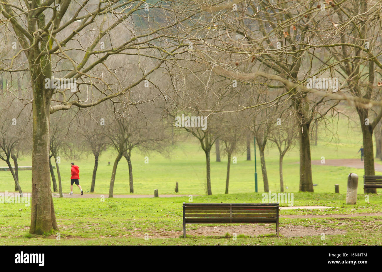 Empty bench in the park Stock Photo - Alamy