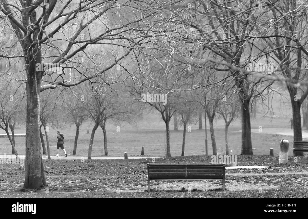 Empty bench in the park Stock Photo - Alamy