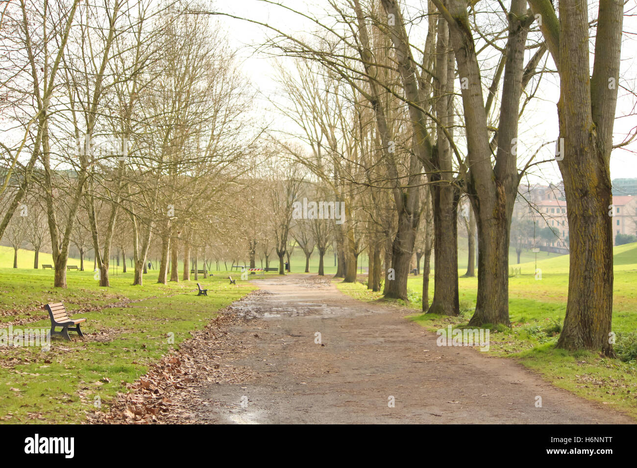 Empty bench in the park (side view Stock Photo - Alamy