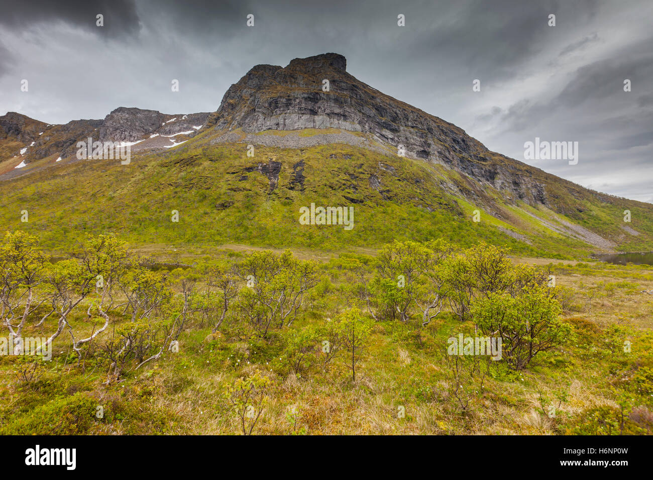 Grunnforfjord, Austvagoy, Lofoten Islands, Norway. Stock Photo