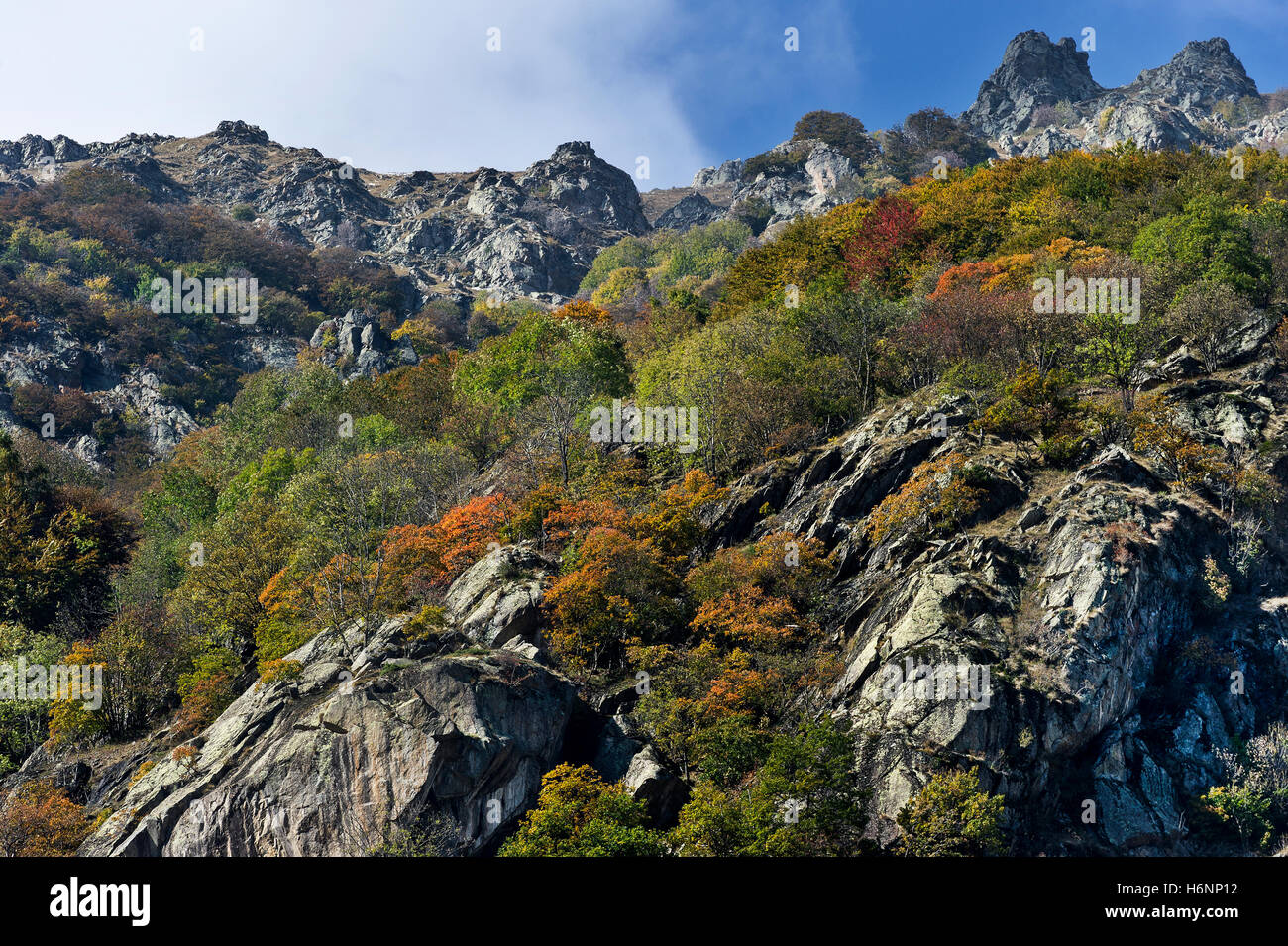 Italy, Piedmont, Alpi Marittime NP, Gesso valley, landscape Stock Photo