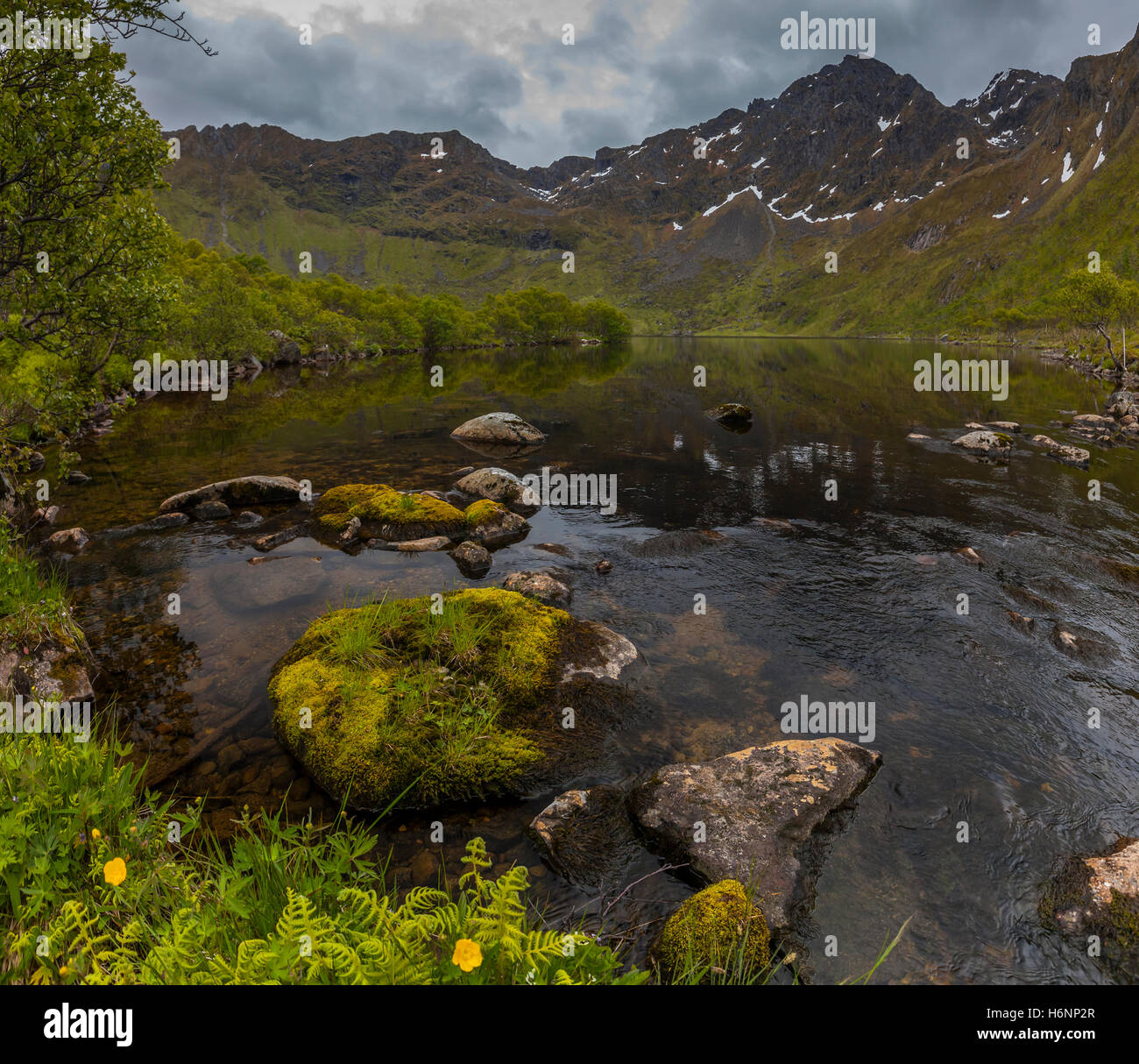 Grunnforfjord, Austvagoy, Lofoten Islands, Norway. Stock Photo