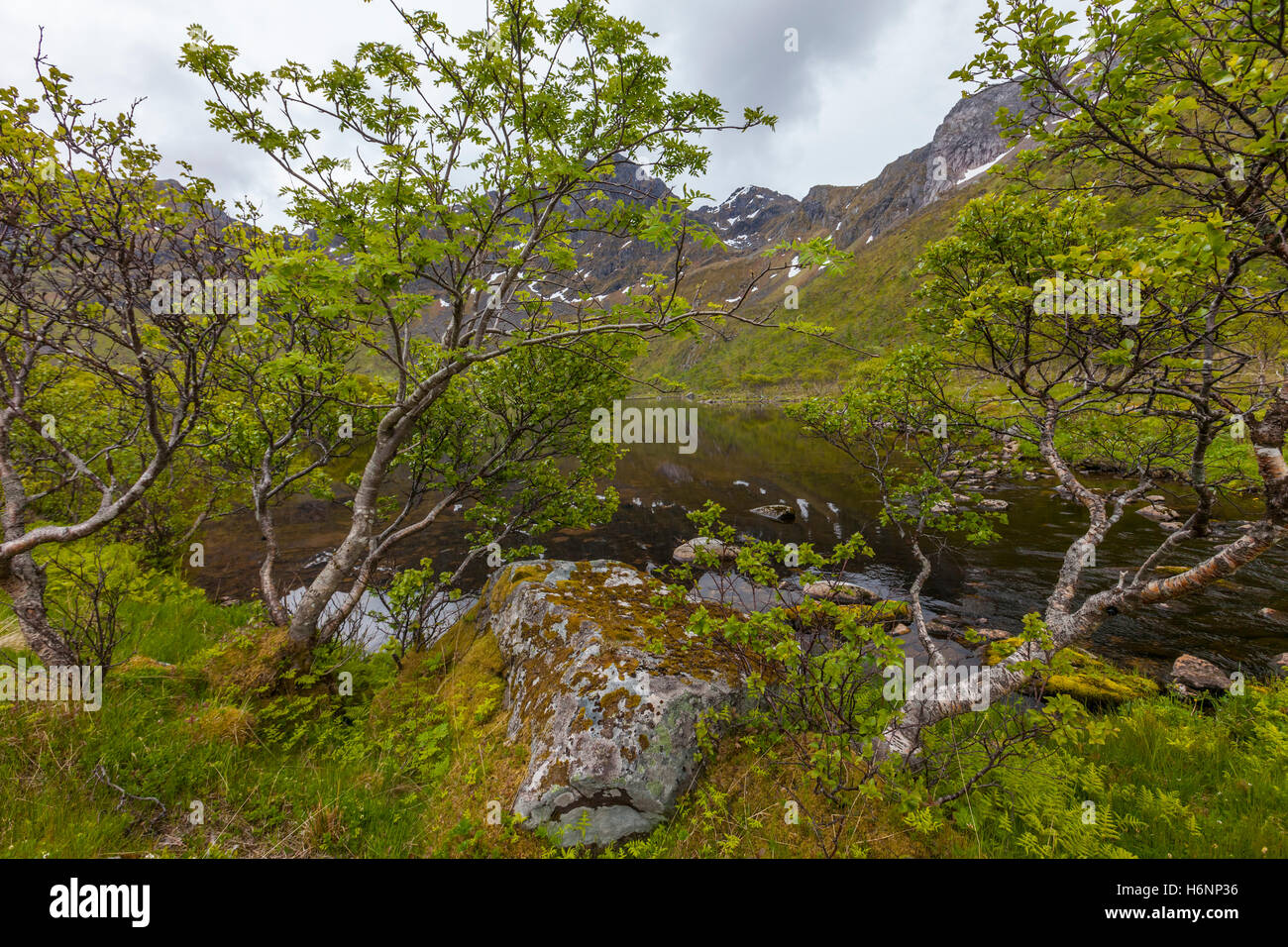 Grunnforfjord, Austvagoy, Lofoten Islands, Norway. Stock Photo