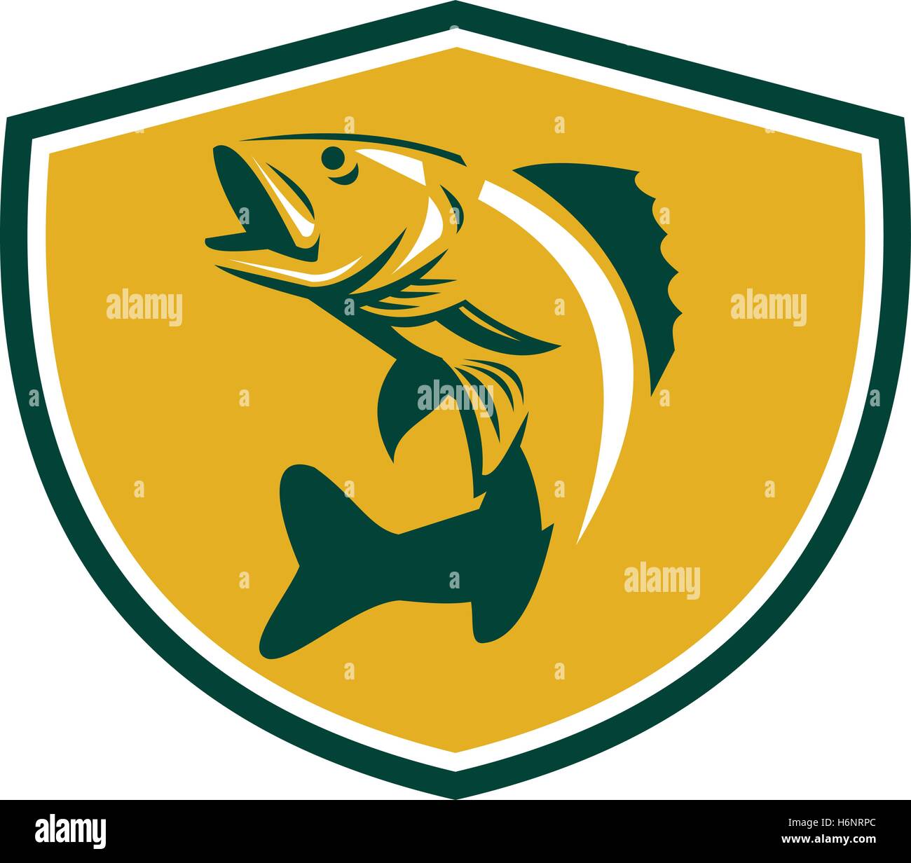 Illustration of a Walleye (Sander vitreus, formerly Stizostedion vitreum), a freshwater perciform fish jumping up viewed from the side set inside shield crest on isolated background done in retro style. Stock Vector