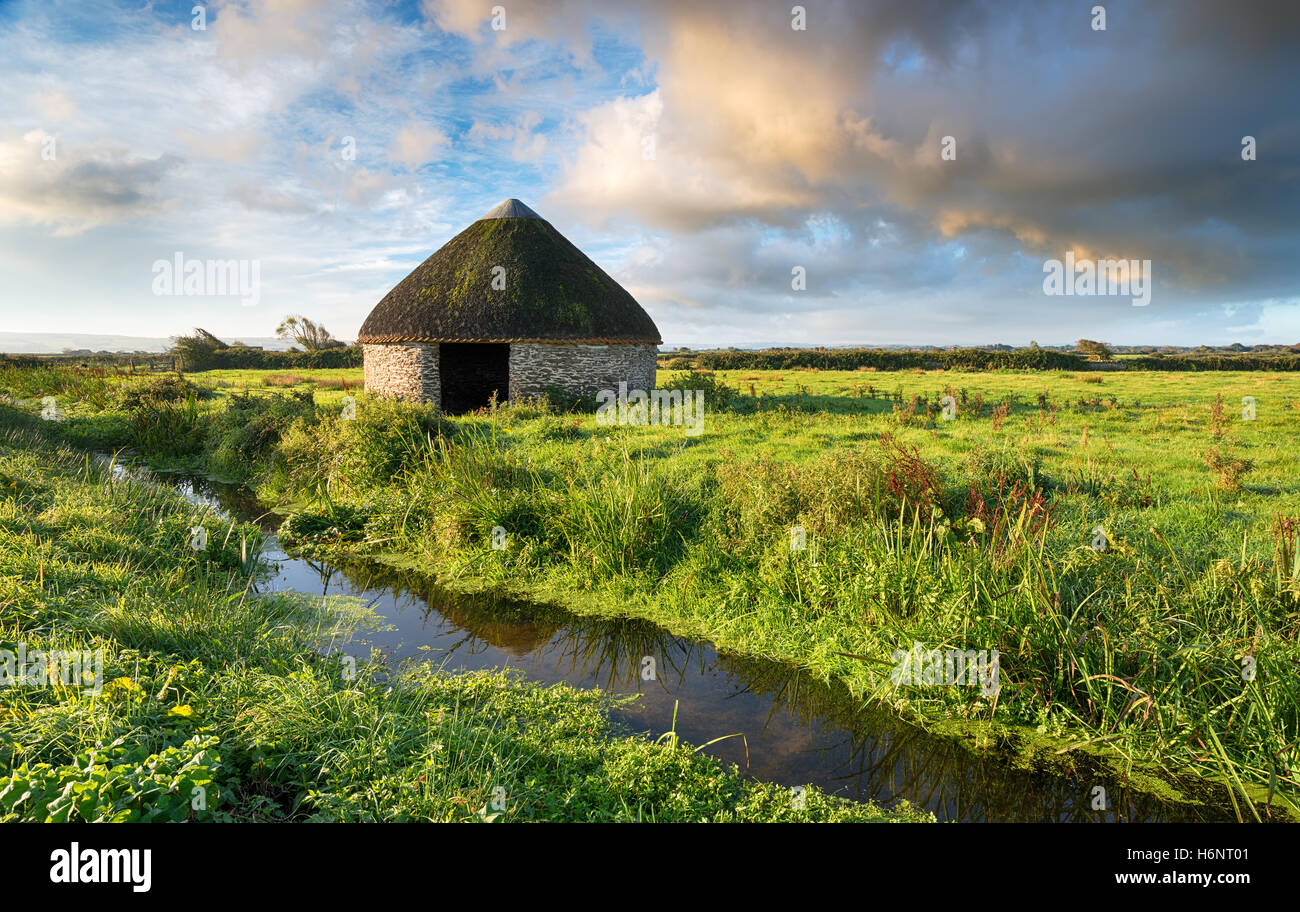 A beautiful round thatched barn on Braunton Marshes near Barnstaple in Devon Stock Photo