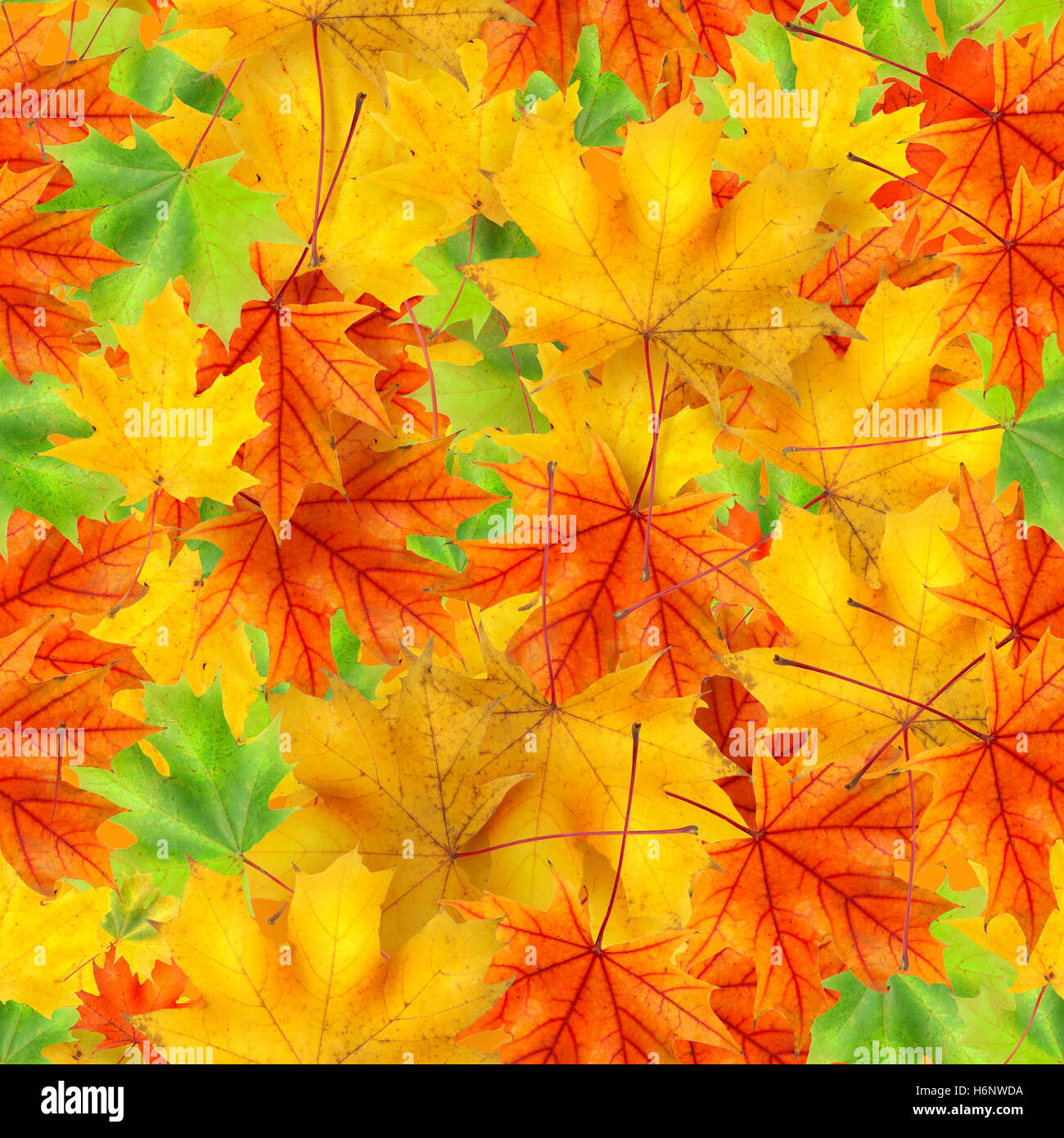 Seamless leaf pattern hi-res stock photography and images - Alamy