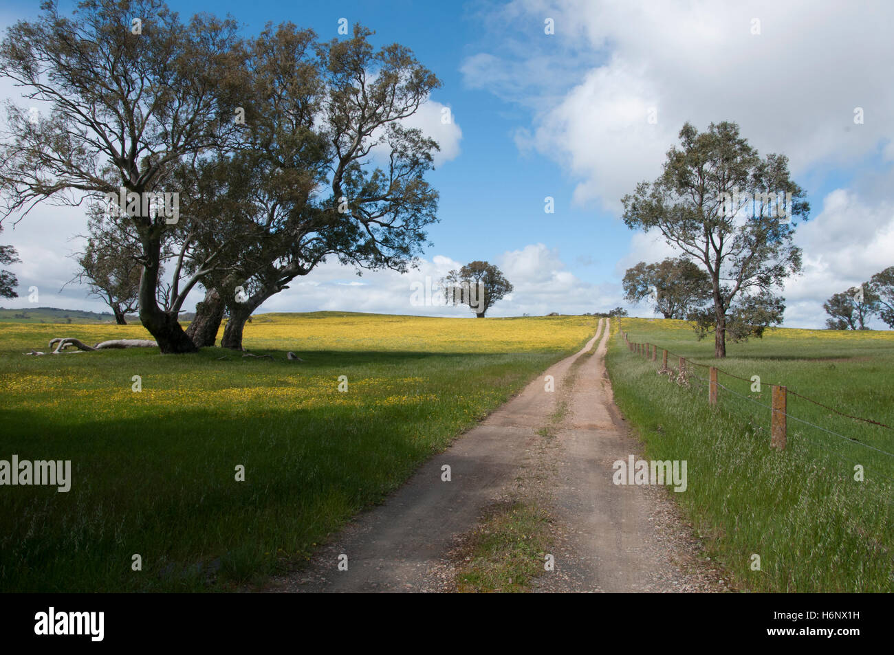 Farm track outside Eden Valley, South Australia Stock Photo Alamy