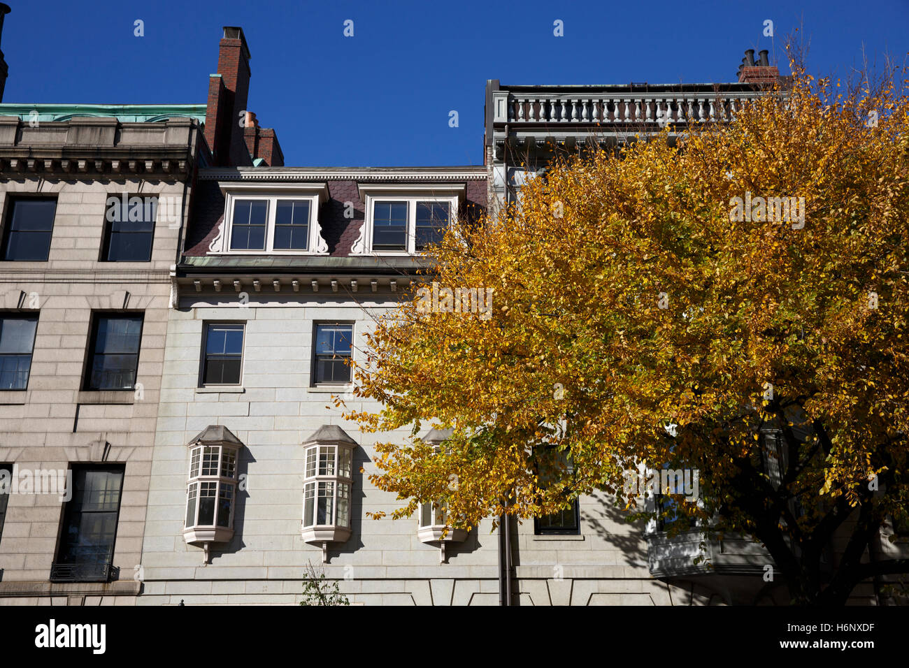 Fall foliage on Beacon Street, Boston, Massachusetts Stock Photo