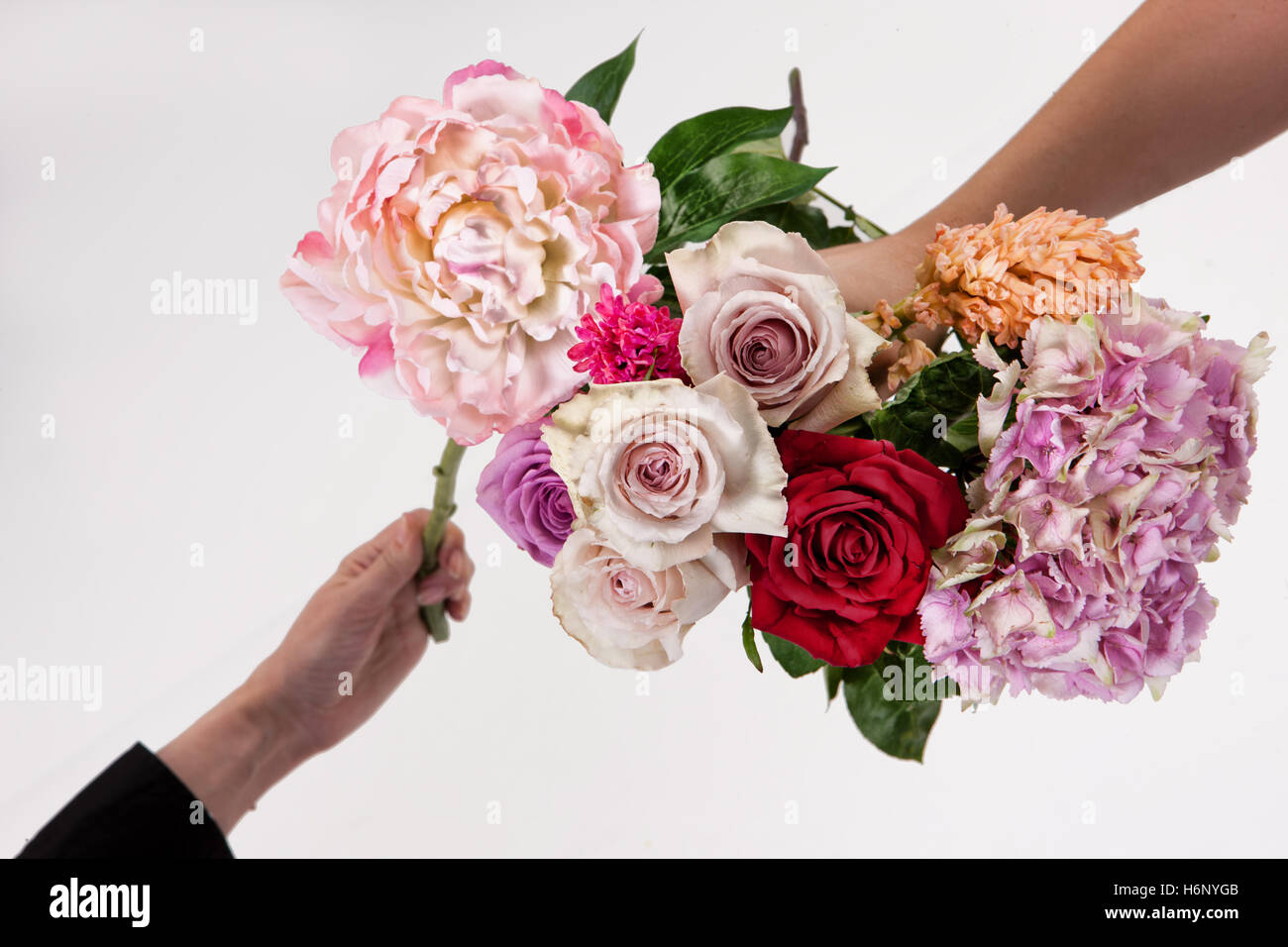 Hand holding a bouquet of different flowers on an isolated studio