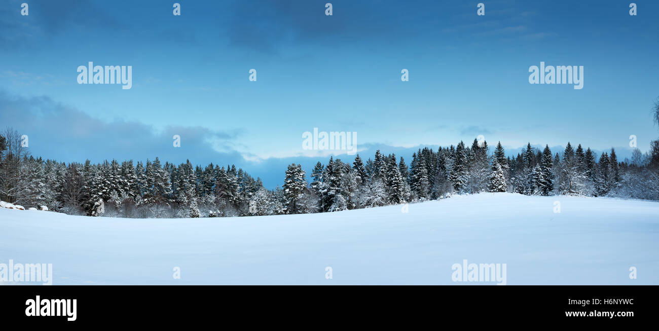 Trees in winter landscape Stock Photo - Alamy