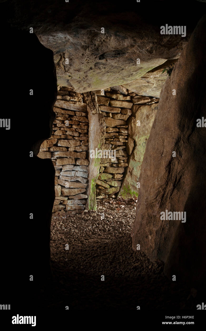 Hetty Pegler's Tump, Uley: view N from SW side chamber across gallery to blocked off pair of N side chambers with dividing slab Stock Photo