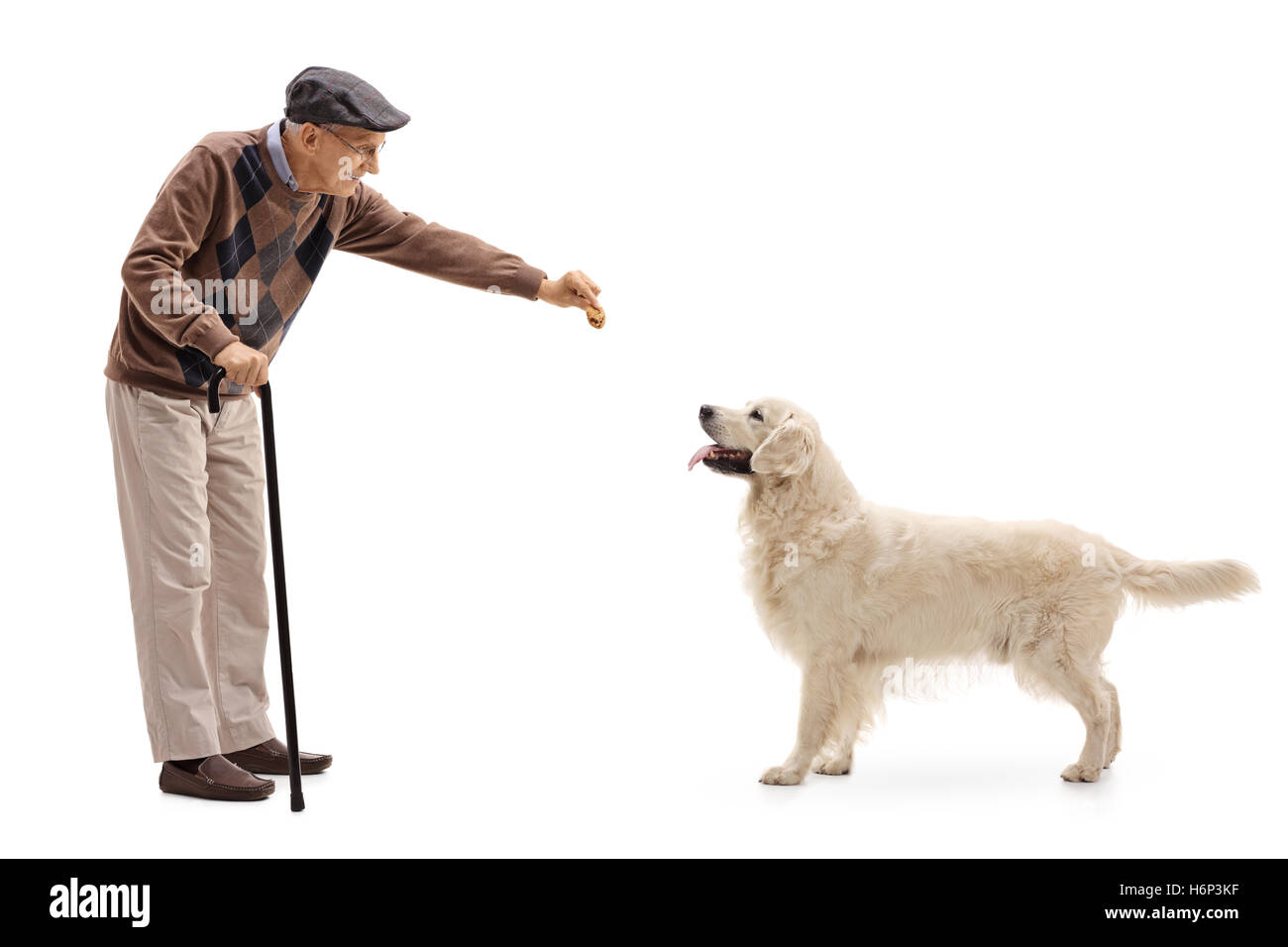 Elderly man giving a cookie to a dog isolated on white background Stock Photo