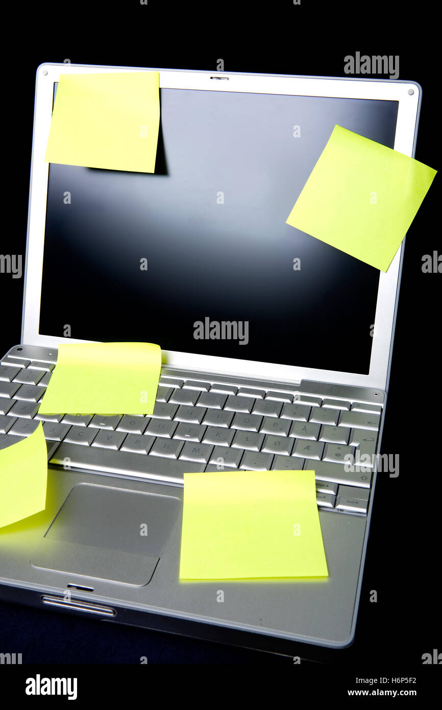 Black ram project hi-res stock photography and images - Alamy