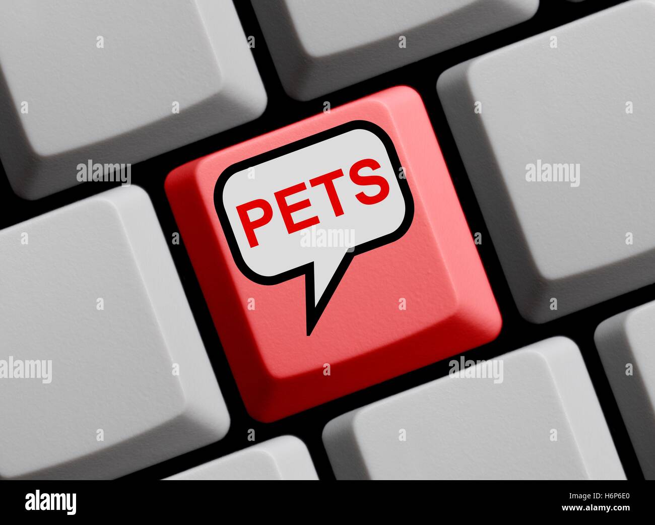 pets online Stock Photo