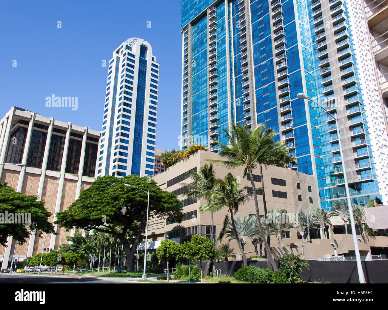 Tropical street with modern skyscrapers in Honolulu city (Hawaii Stock