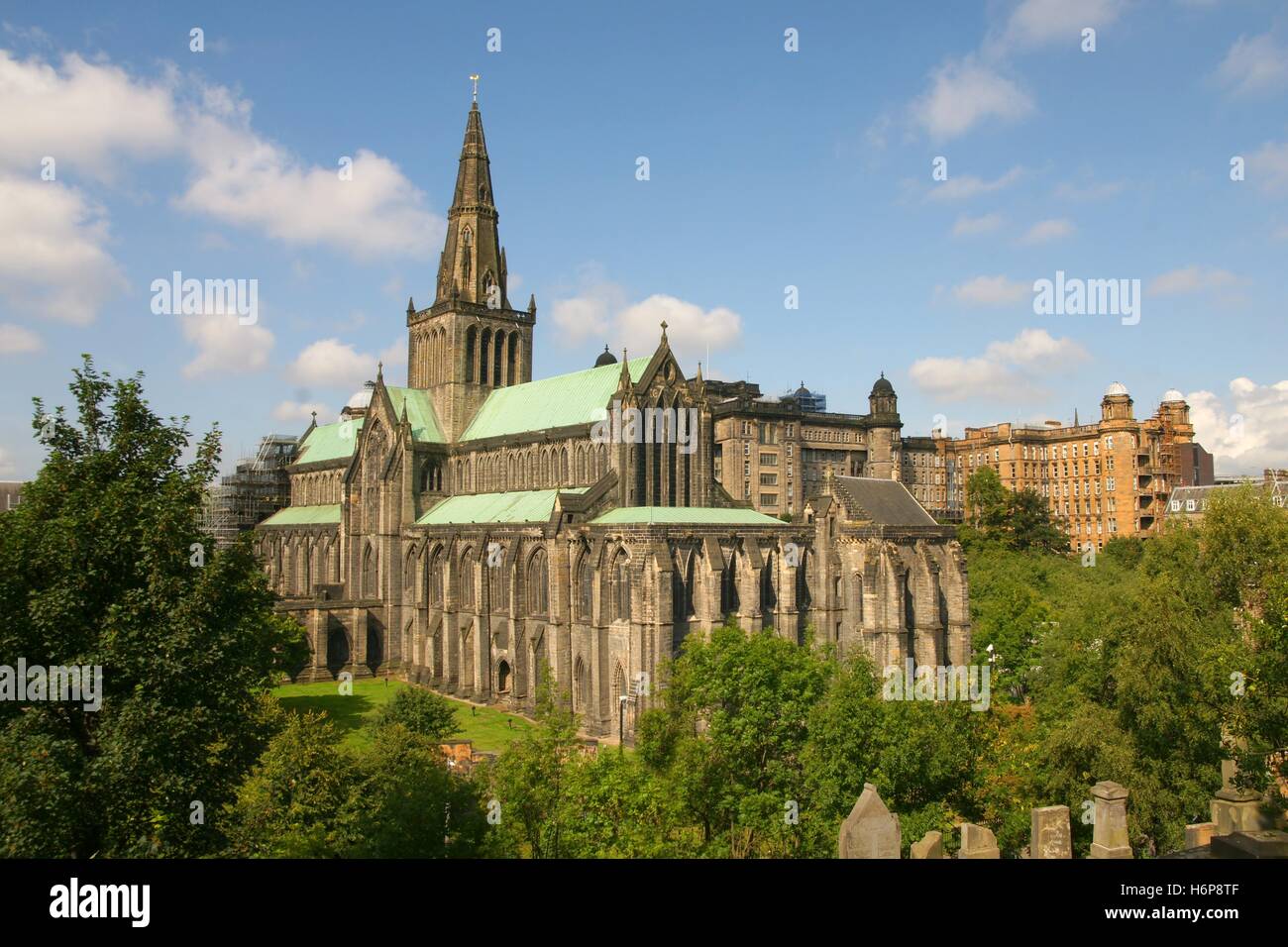 st. mungo's cathedral Stock Photo Alamy