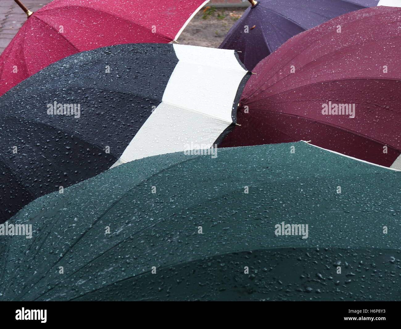 umbrellas in the rain Stock Photo Alamy