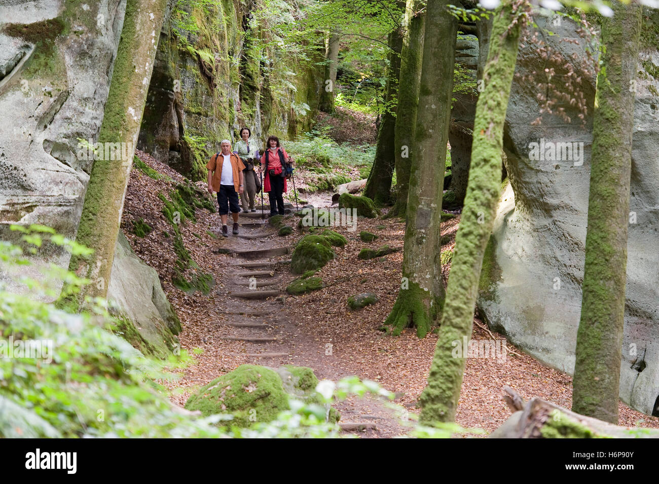 hiking - luxembourg - mullerthal trail Stock Photo