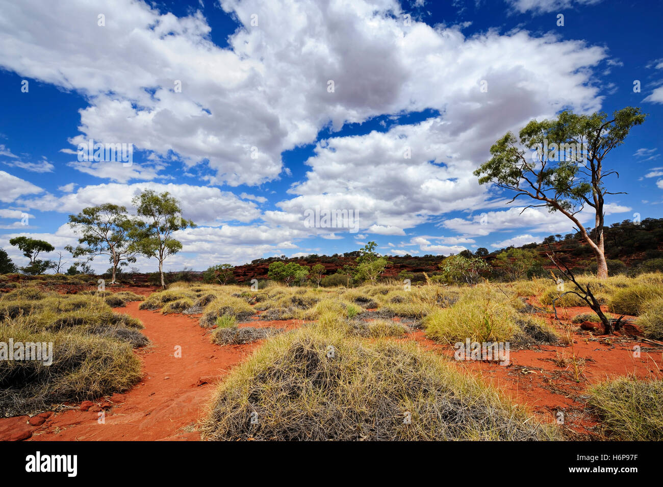 the red centre Stock Photo