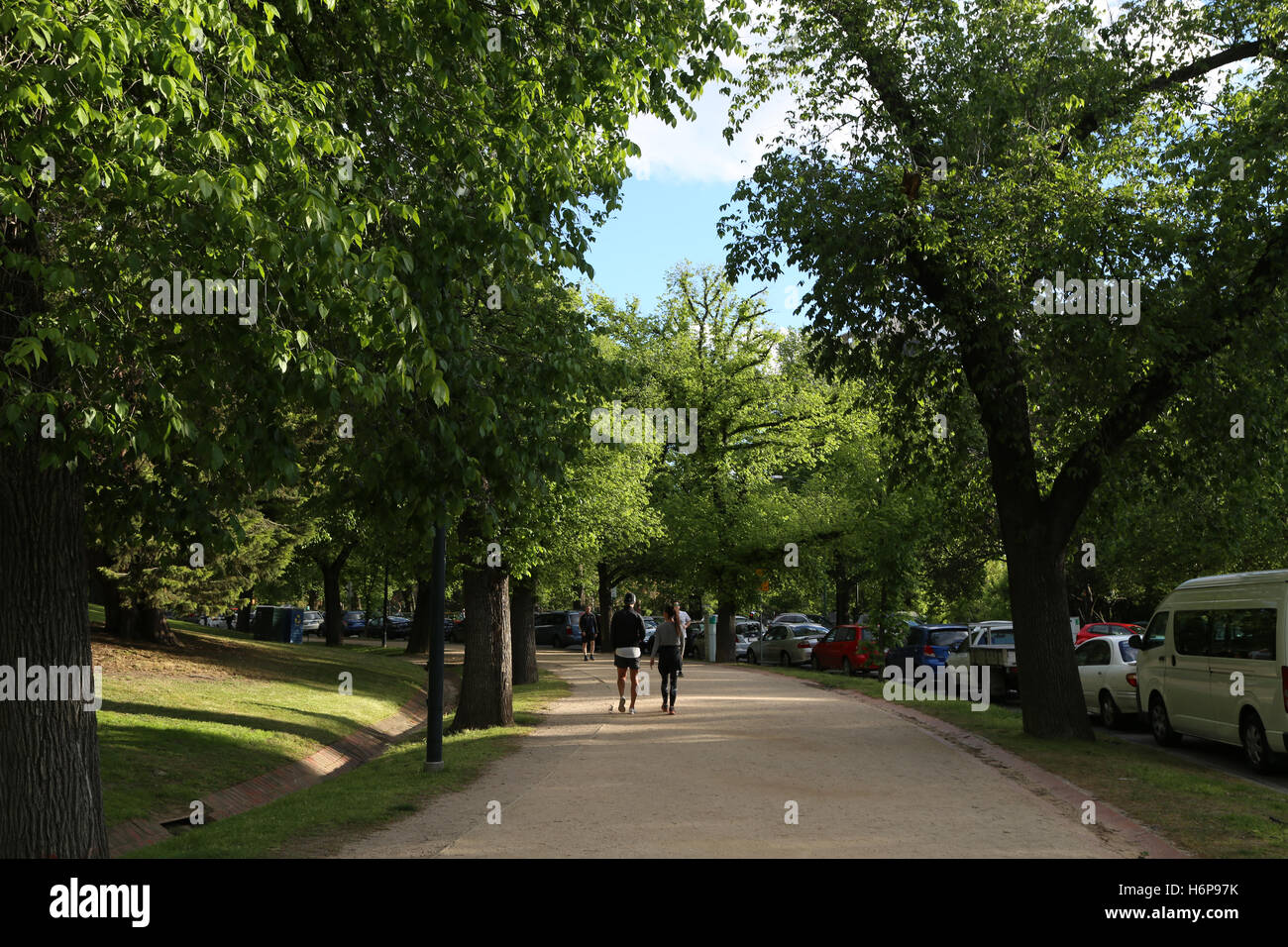 The tan track melbourne hires stock photography and images Alamy