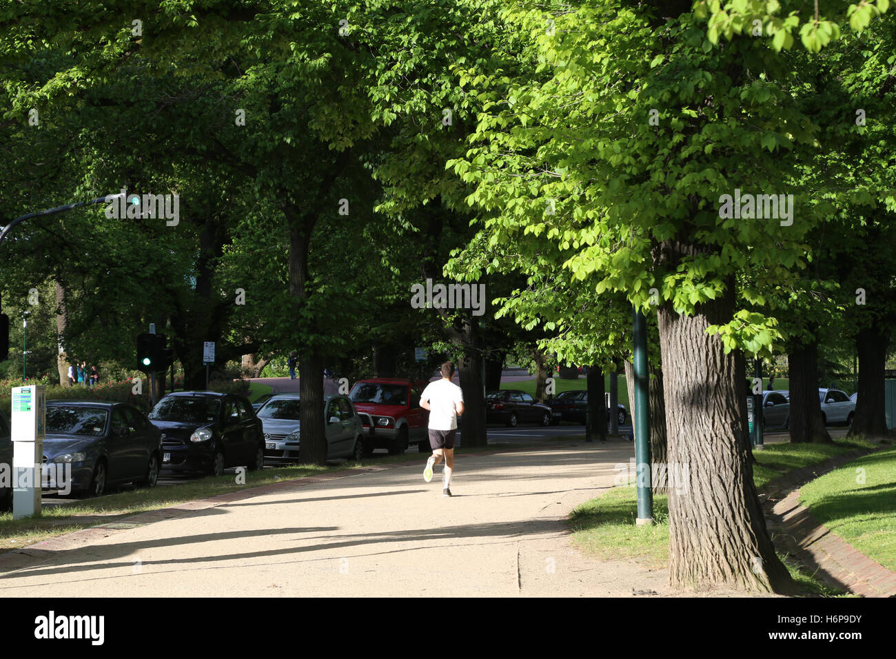 The ‘Tan’ jogging track in Melbourne Stock Photo Alamy