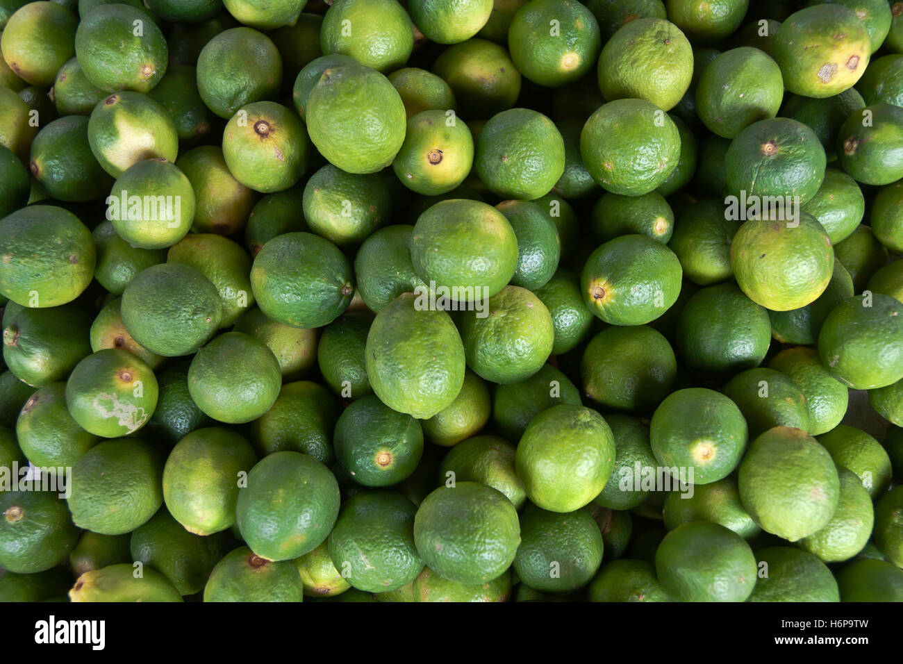 Lime fruits hi-res stock photography and images - Alamy