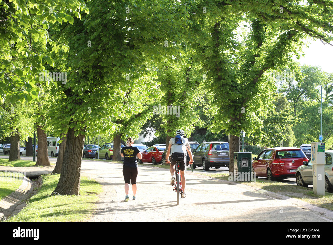 The ‘Tan’ jogging track in Melbourne Stock Photo Alamy