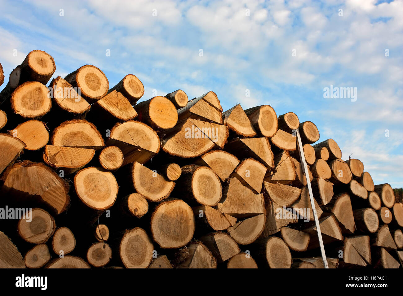 woodpile Stock Photo Alamy