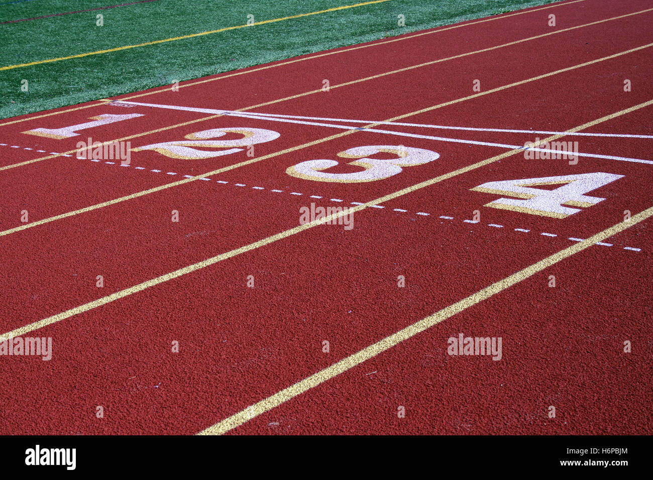sport sports field lines track event stadium competitive sport