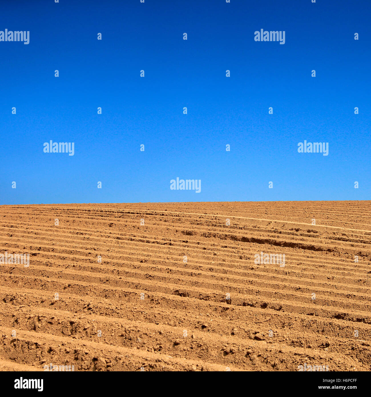 Agricultural landscapes hi-res stock photography and images - Alamy