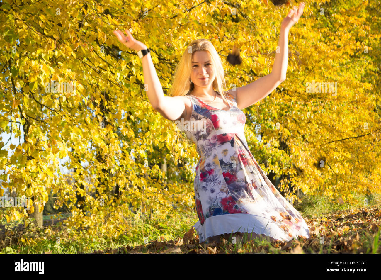 Beautiful woman in autumn park with yellow leaves Stock Photo - Alamy