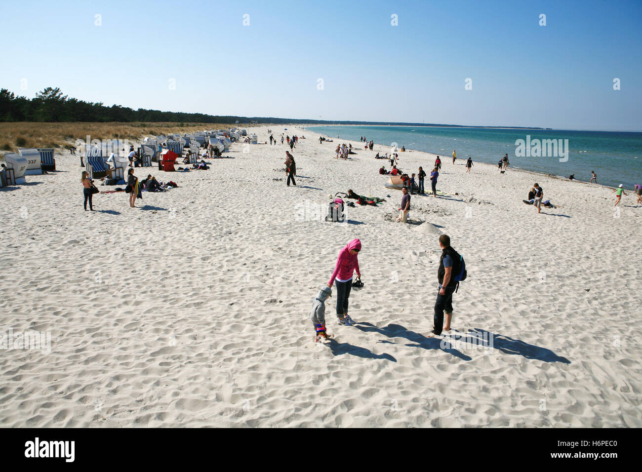 sandy beach on darÃŸ-zingst Stock Photo