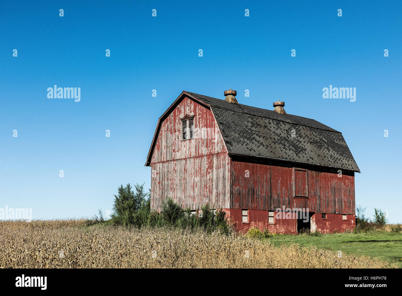 Scenic red barn and farmland, Scottsville, New York, USA. Stock Photo
