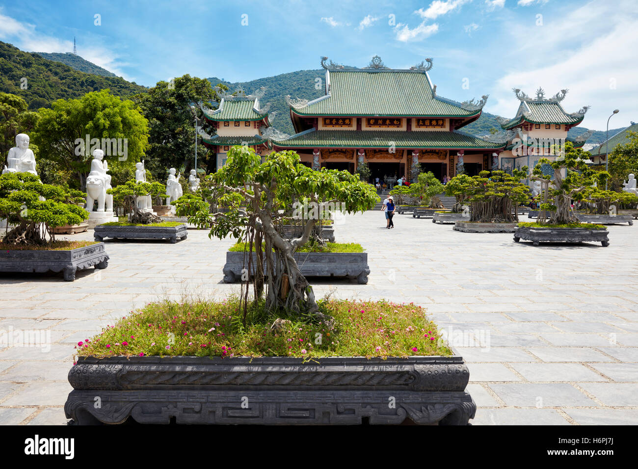 Bonsai garden at Linh Ung Pagoda, Da Nang, Vietnam. Stock Photo