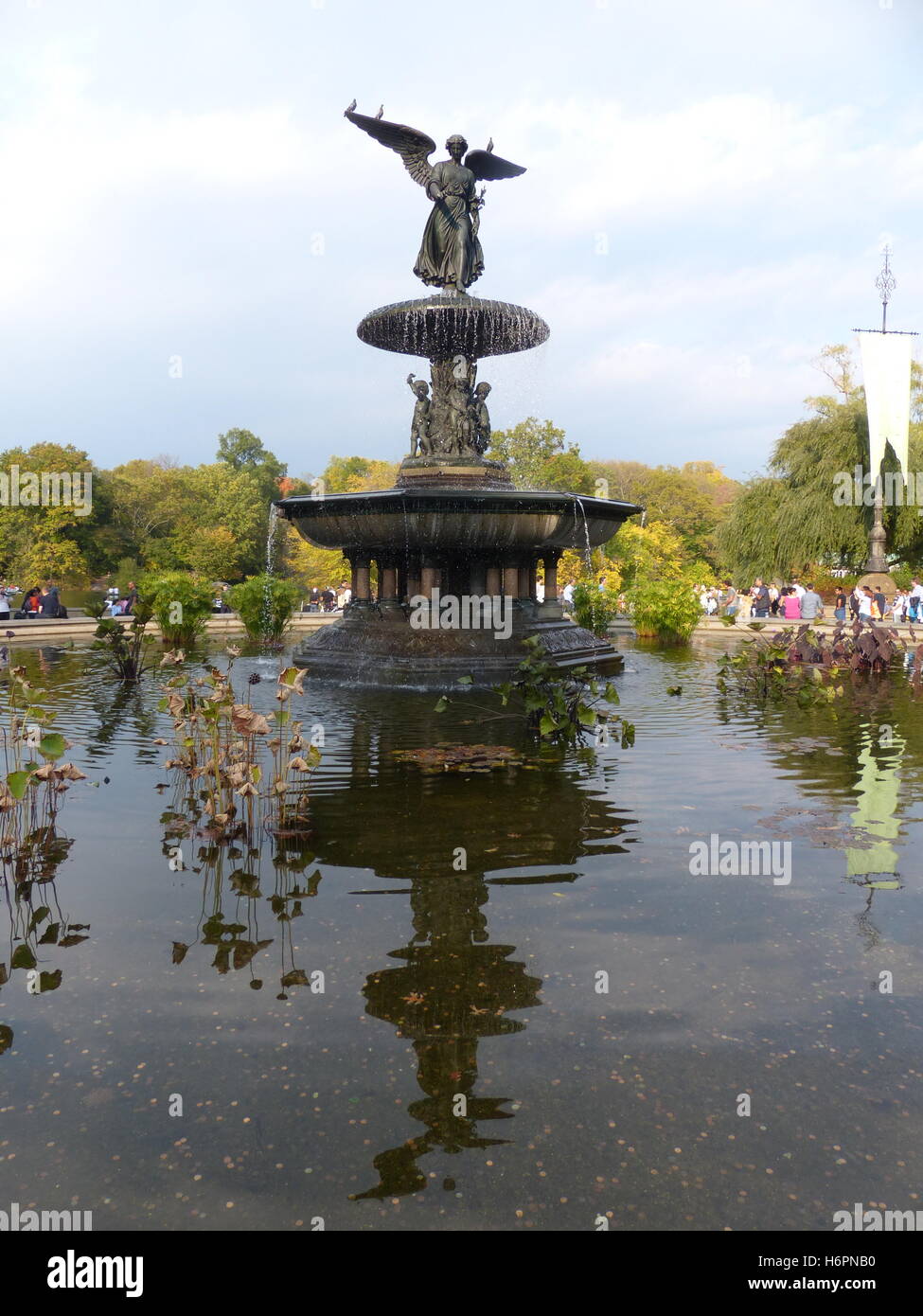  Vintage Historic Photo Angel of Bethesda Fountain