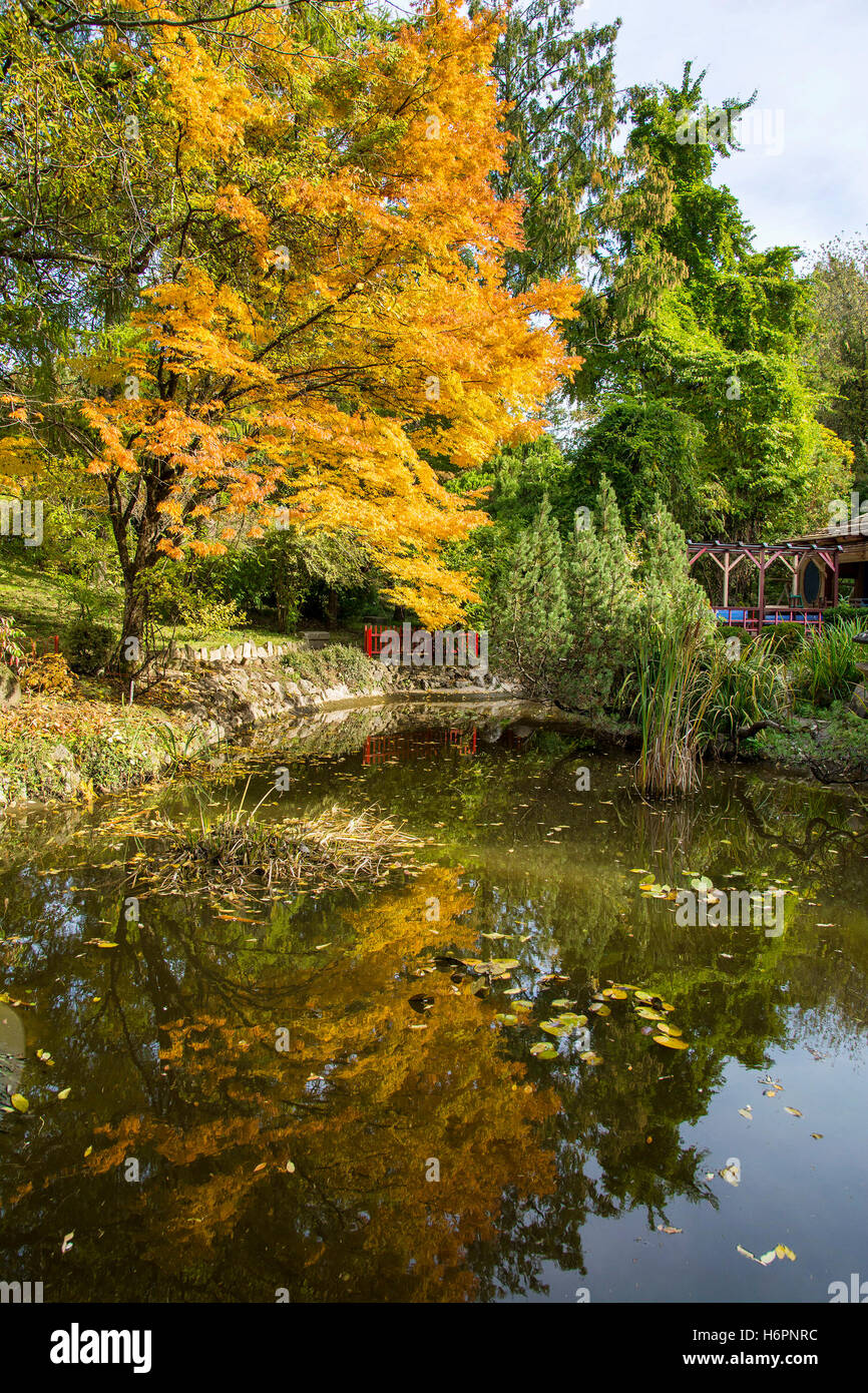 Autumn in Botanical Garden of Cluj, Transylvania, Romania Stock Photo