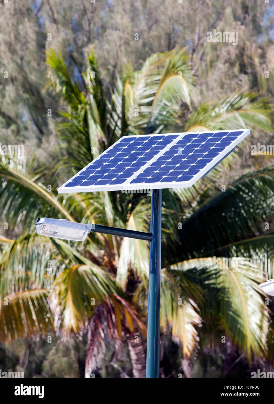 Lamp with the solar battery in tropics Stock Photo