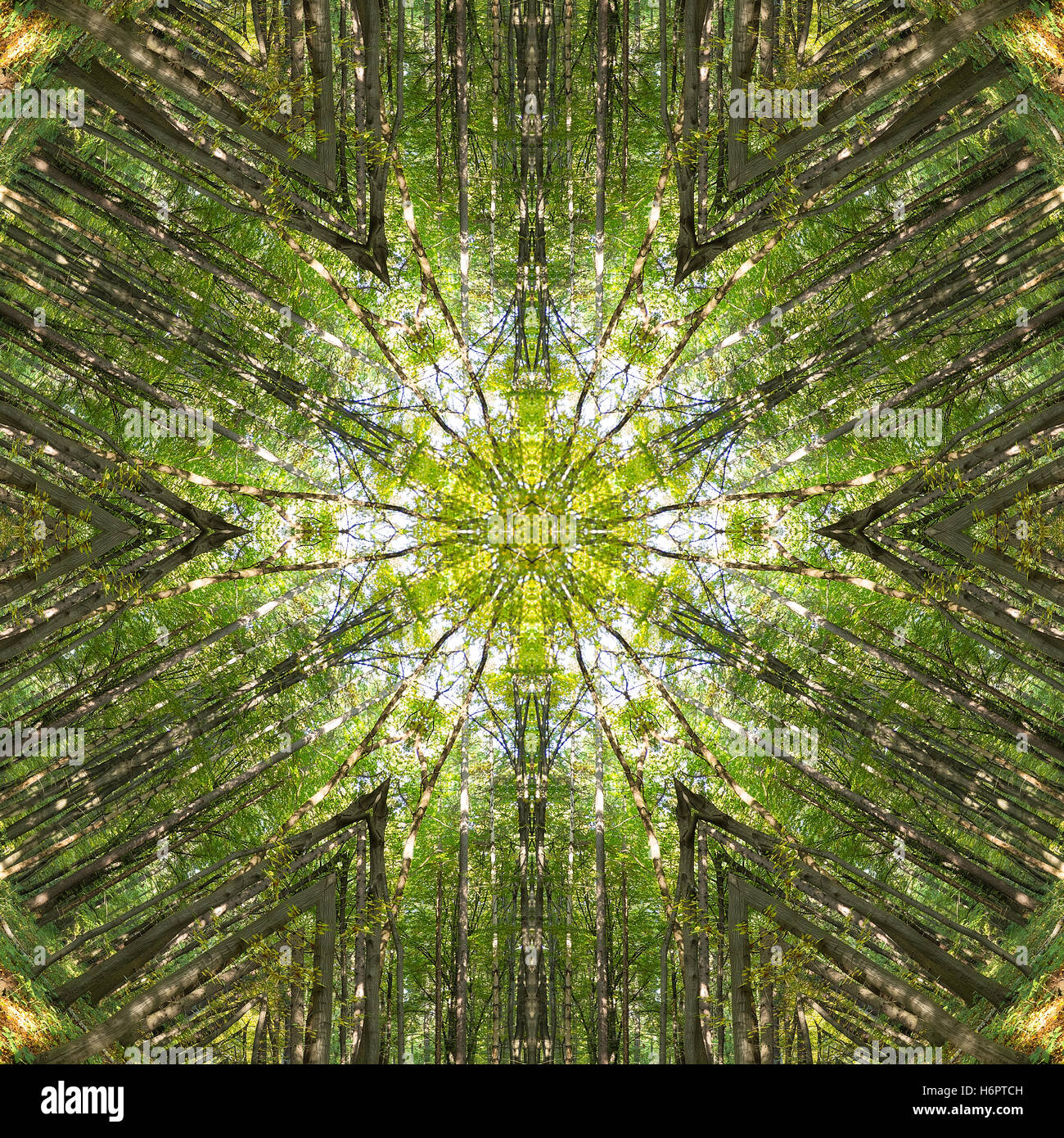 In Kaleidoscope In Kaleidoscope
