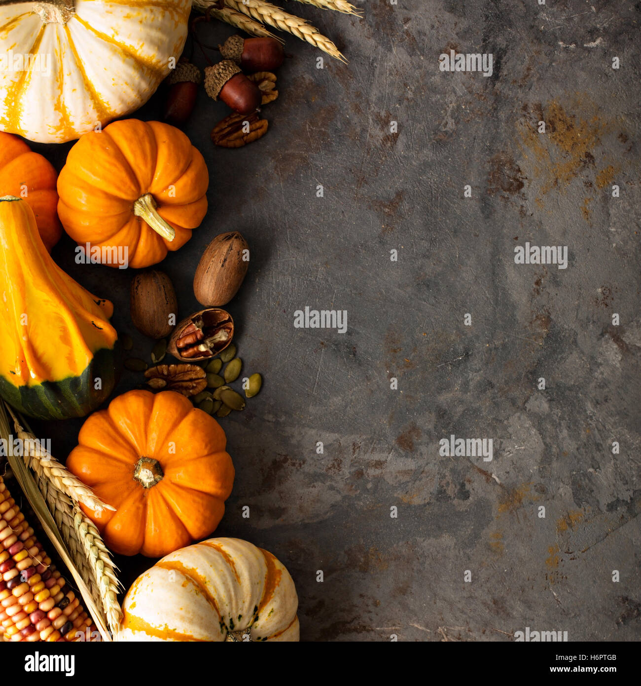 Fall background with pumpkins Stock Photo - Alamy