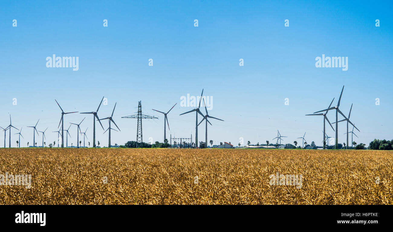 Germany, Schleswig-Holstein, wind park near Wesselburen, Dithmarschen has greatest density of wind turbines in Germany Stock Photo